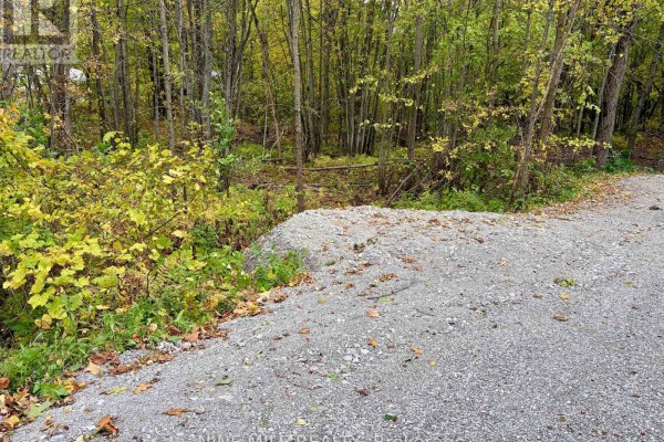 3159 Switch Road, Ramara, ON L0K2B0 Photo 2