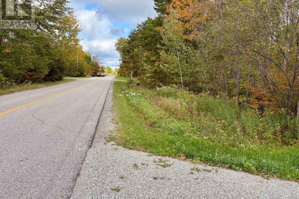 3159 Switch Road, Ramara, ON L0K2B0 Photo 3
