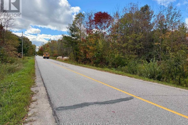 3159 Switch Road, Ramara, ON L0K2B0 Photo 4