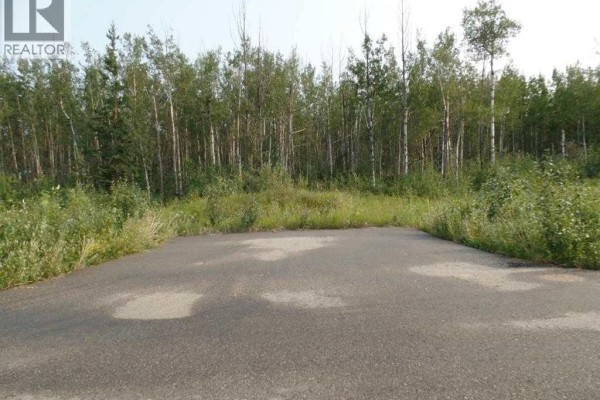 316, 13348 672a Township, Lac La Biche, AB T0A2C0 Photo 3