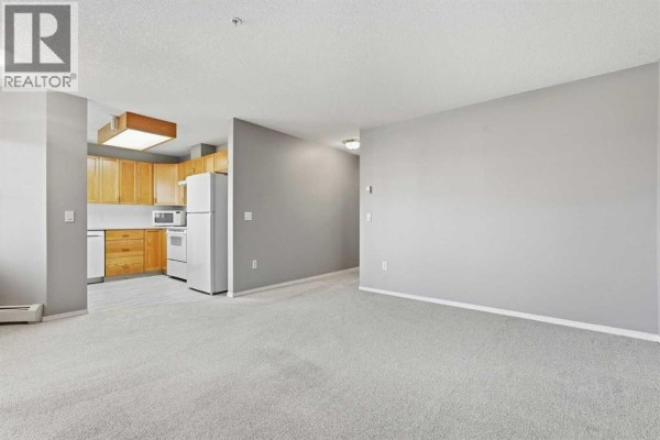 Laundry room - 316, 305 1 Avenue Nw, Airdrie, AB T4B2M5 Photo 5