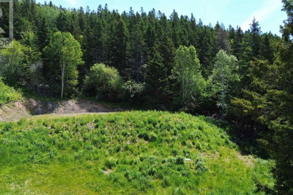 3166 Highway 19, Craigmore, NS B0E1P0 Photo 4