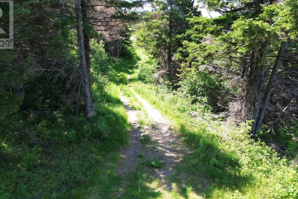 3166 Highway 19, Craigmore, NS B0E1P0 Photo 5