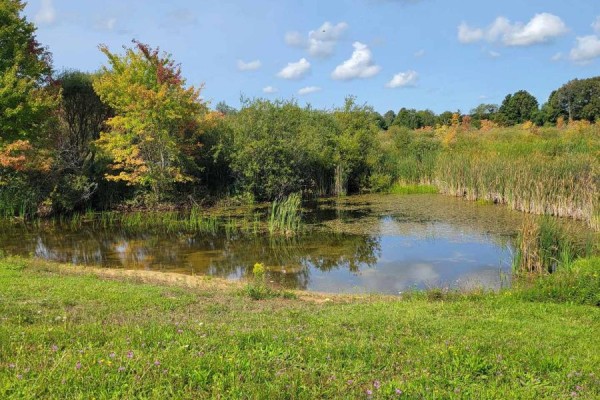 316900 Hwy 6, Chatsworth, ON, photo 2