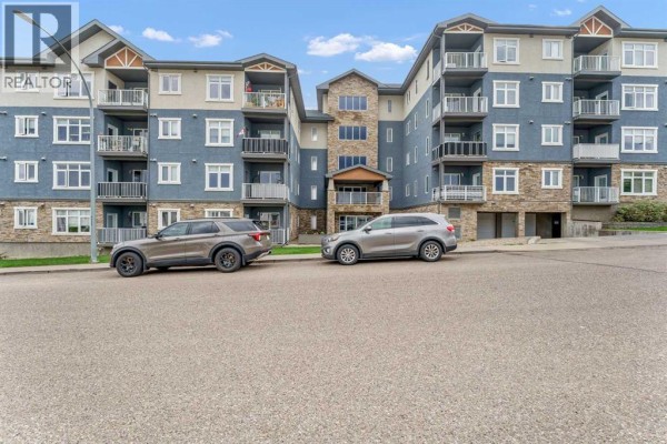 Kitchen - 317, 19 Terrace View Ne, Medicine Hat, AB T1C0E8 Photo 3