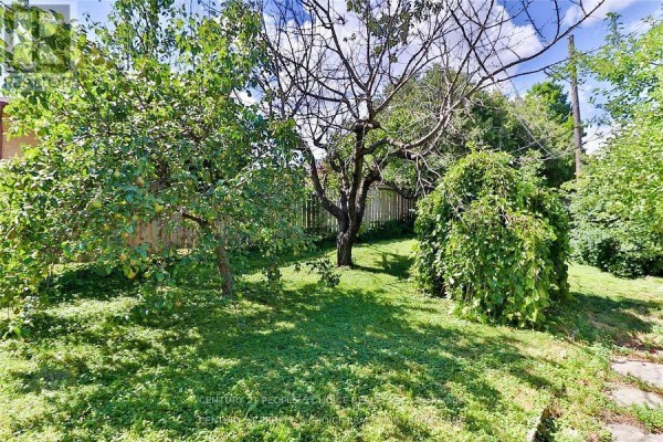 317 Albion Road, Toronto, ON M9W3P2 Photo 4