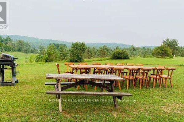 317051 Highway 6 & 10, Chatsworth, ON N0H1G0 Photo 5