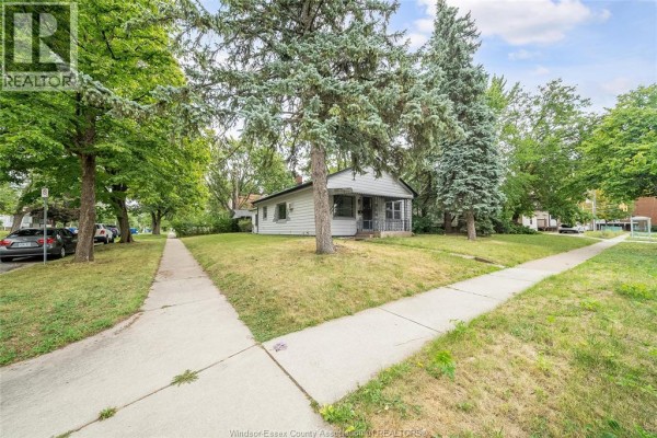 Wide exterior view of the house from the sidewalk showing the lawn, trees, and street. - 3173 Wyandotte St West, Windsor