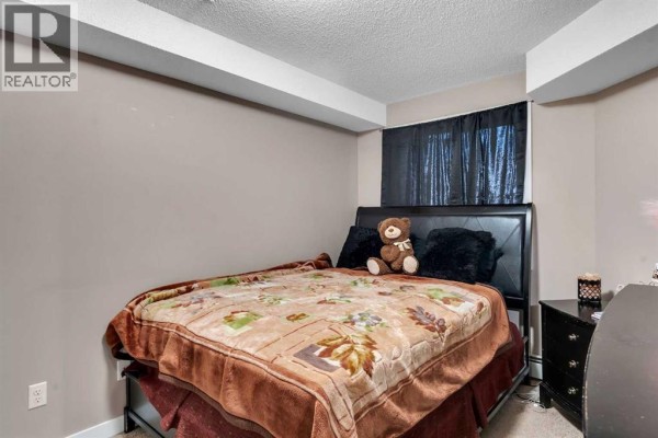 Laundry room - 318, 7210 80 Avenue Ne, Calgary, AB T3J0N7 Photo 4