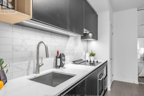 318 - 55 Mercer Street, Toronto, ON M5V0W4 Photo 3