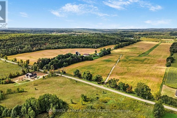 3182 Concession Road 5, Adjala Tosorontio, ON L0G1L0 Photo 4