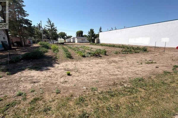 319 2 Avenue N, Vauxhall, AB T0K2K0 Photo 2