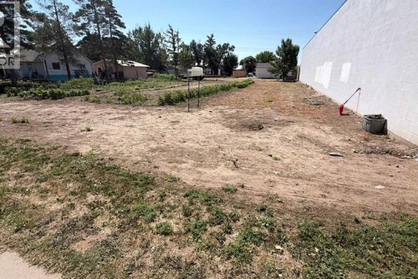 319 2 Avenue N, Vauxhall, AB T0K2K0 Photo 3