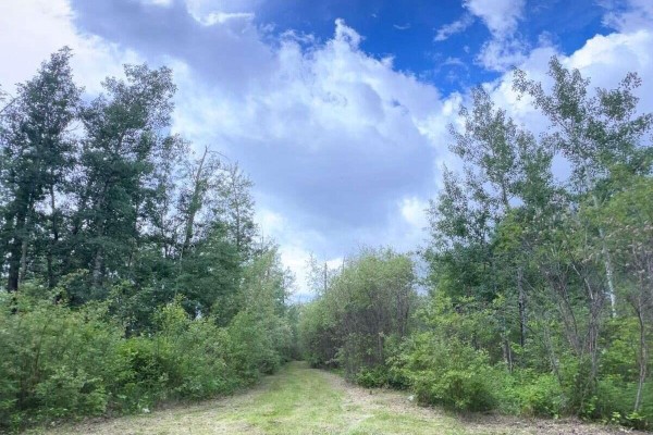 #319 23229 Hwy 651, Rural Sturgeon County, AB T0A2R0 Photo 5
