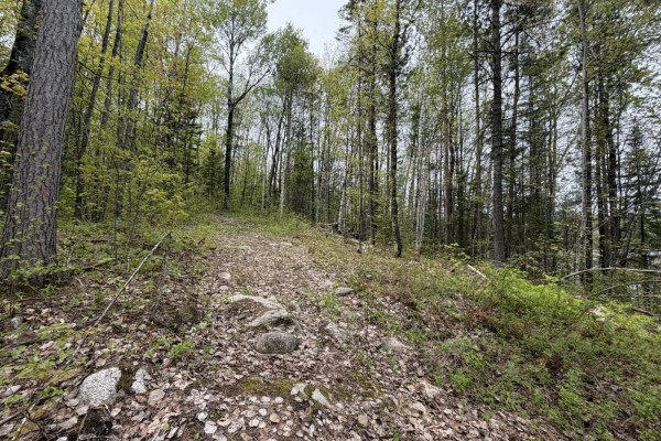 319 Ch. Monette, Cayamant, QC, photo 2