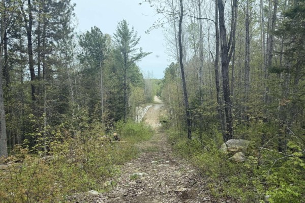 319 Ch. Monette, Cayamant, QC, photo 3