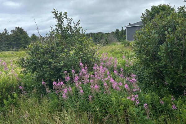 32 Dawes Place, Conception Bay South, NL A1X6Z7 Photo 2