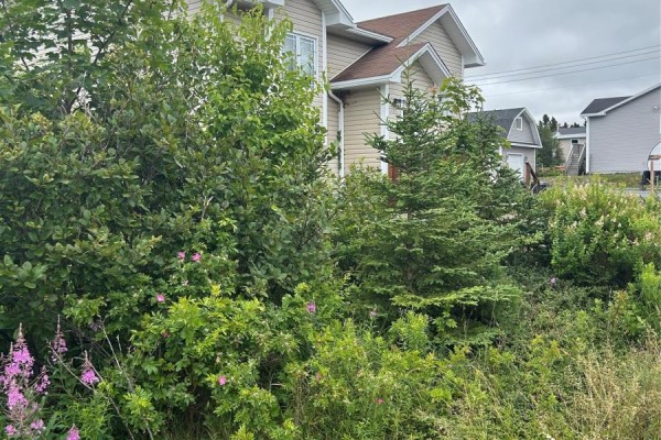 32 Dawes Place, Conception Bay South, NL A1X6Z7 Photo 3