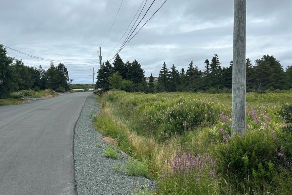 32 Dawes Place, Conception Bay South, NL A1X6Z7 Photo 4