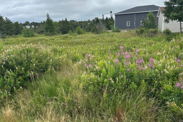 32 Dawes Place, Conception Bay South, NL A1X6Z7 Photo 5