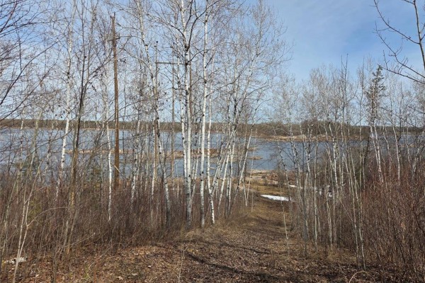View through bare birch trees towards a wide body of water with a marshy bank. - 32 Granite Point Road, Great Falls