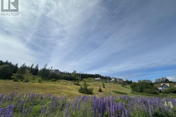 Bedroom - 32 Mill Road, Port Rexton, NL A0C2H0 Photo 4
