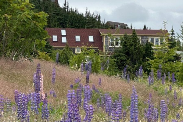 Other - 32 Mill Road, Port Rexton, NL A0C2H0 Photo 5