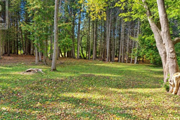 32 Slalom Gate Road, Collingwood, ON L9Y5B2 Photo 3
