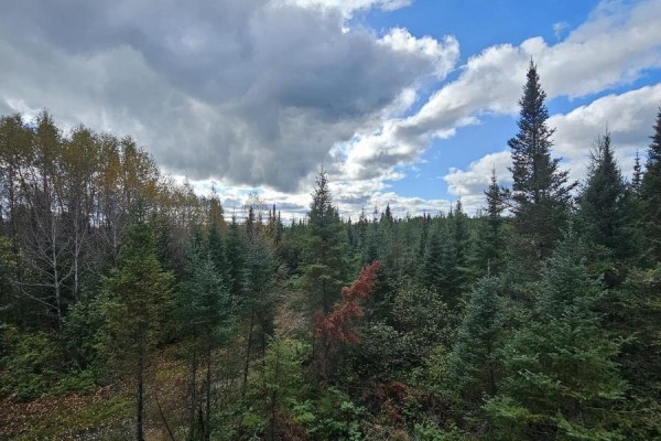 320 Mcnee Road, Hearst, ON P0L1N0 Photo 5