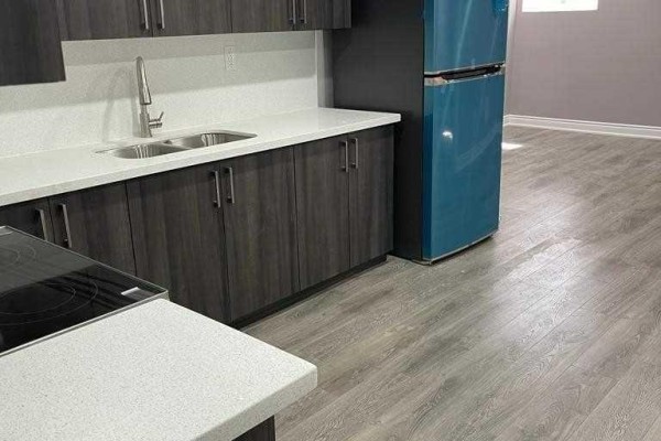 (lower Level, Basement) - 320 Williams Avenue, Milton, ON L9T2G2 Photo 4