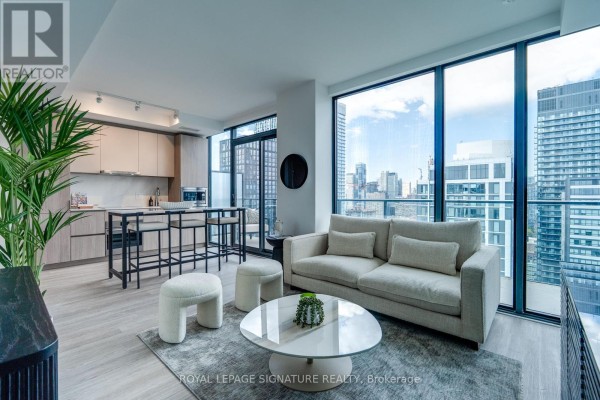 3205 - 47 Mutual Street, Toronto
