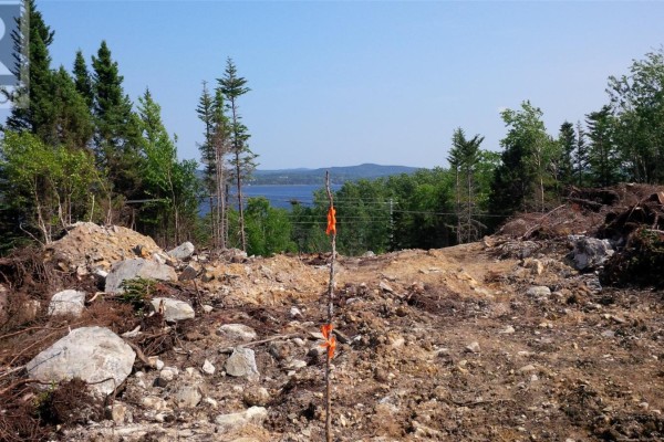 321-325 Main Street N, Glovertown, NL A0G2L0 Photo 4
