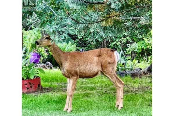 321 Copper Avenue Lot# 17, Greenwood, BC V0H1J0 Photo 5