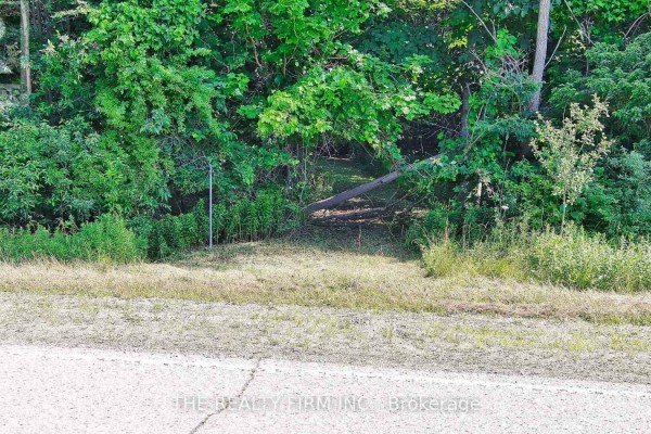 3210 Old Dexter Line, Central Elgin, ON N0L2H0 Photo 3