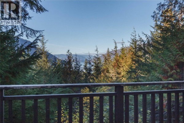 3217 Lumby Mabel Lake Road, Lumby, BC, photo 2