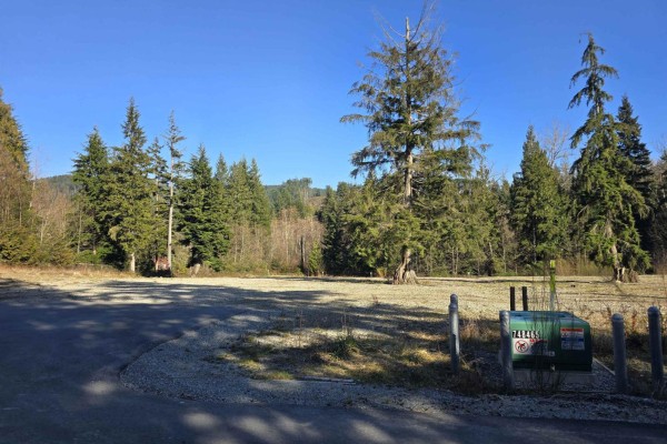 32201 Richards Avenue, Mission, BC V4S1K8 Photo 5