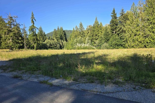 32221 Richards Avenue, Mission, BC V4S1K8 Photo 4