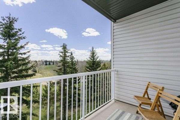 Kitchen - #323 16807 100 Av Nw, Edmonton, AB T5P4Z6 Photo 3