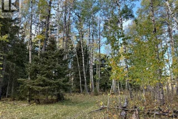 32310 Range Road 45, Rural Mountain View County, AB T0M1X0 Photo 3