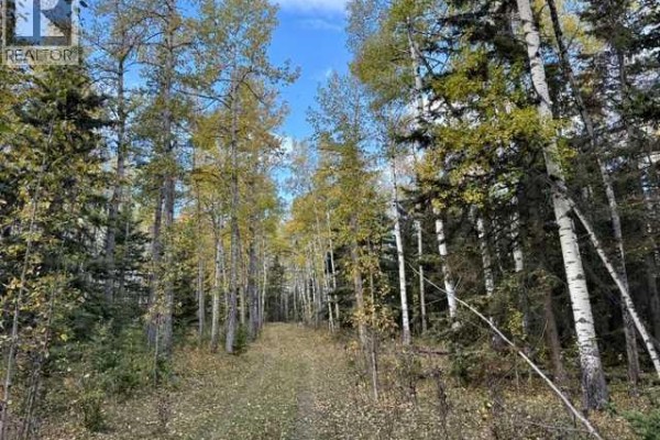 32310 Range Road 45, Rural Mountain View County, AB T0M1X0 Photo 4