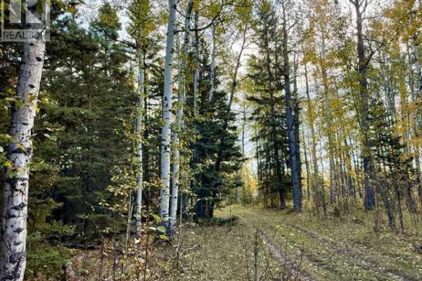 32310 Range Road 45, Rural Mountain View County, AB T0M1X0 Photo 5