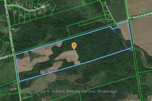 3237 Collingwood Street, Clearview, ON, photo 3