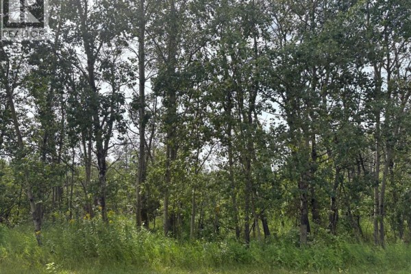 324, 22113 Twp Rd 440, Rural Camrose County, AB, photo 2