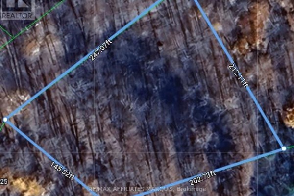 325 Cedar Sands Road, Rideau Lakes, ON K0E1N0 Photo 2