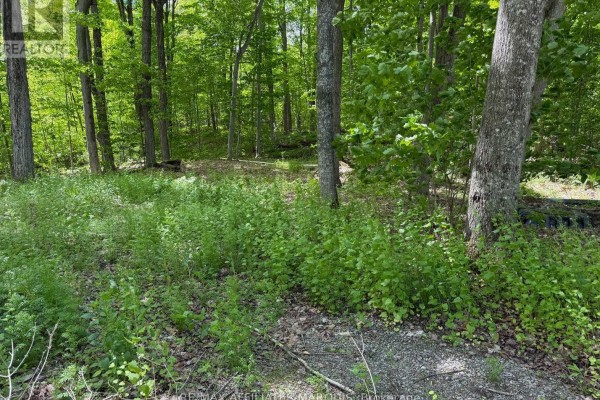 325 Cedar Sands Road, Rideau Lakes, ON K0E1N0 Photo 4