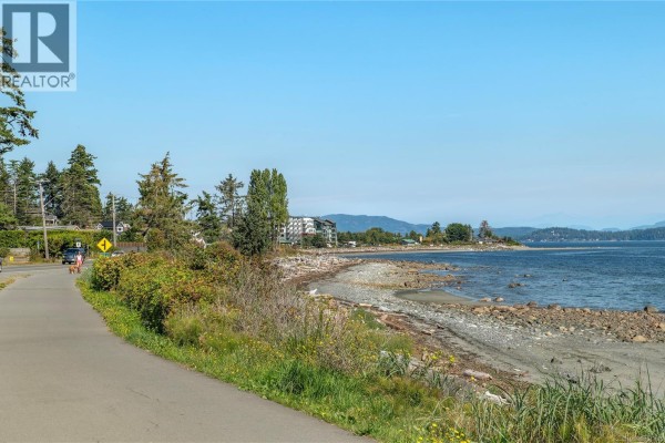 Kitchen - 3250 Island Hwy S, Campbell River, BC V9W1C9 Photo 5