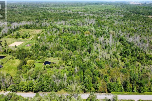 Gravel driveway entrance with culvert on wooded property alongside a paved road. - 3255 Paden Road, Ottawa