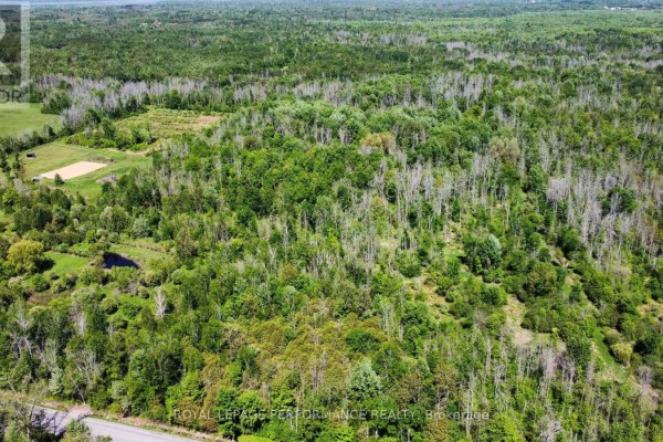 View of undeveloped lot with trees and gravel verge next to a paved road. - 3255 Paden Road, Ottawa