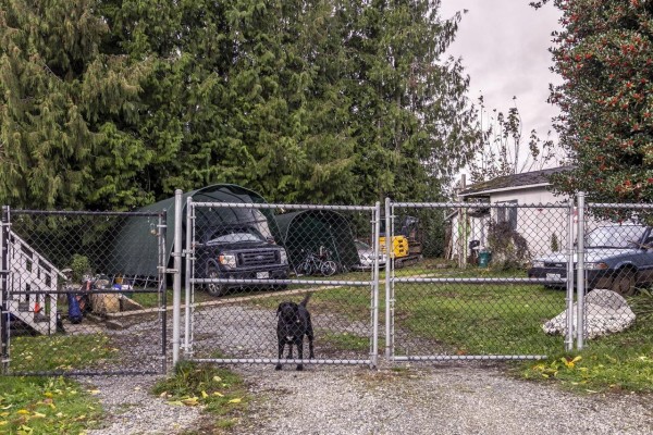 32591 Fleming Avenue, Mission, BC V2V2G8 Photo 5