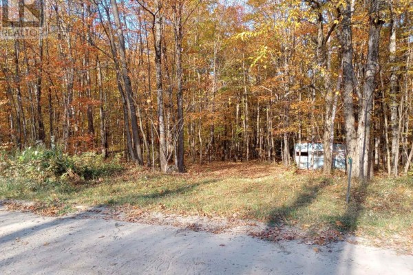 326 South River Road, Nipissing, ON P0H1W0 Photo 5